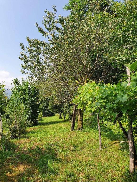 immagine annuncio 10 di 13