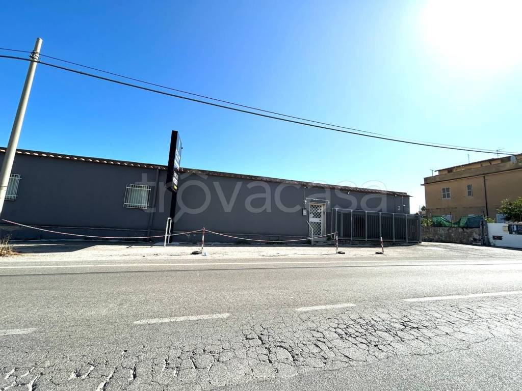 immagine annuncio 1 di 6