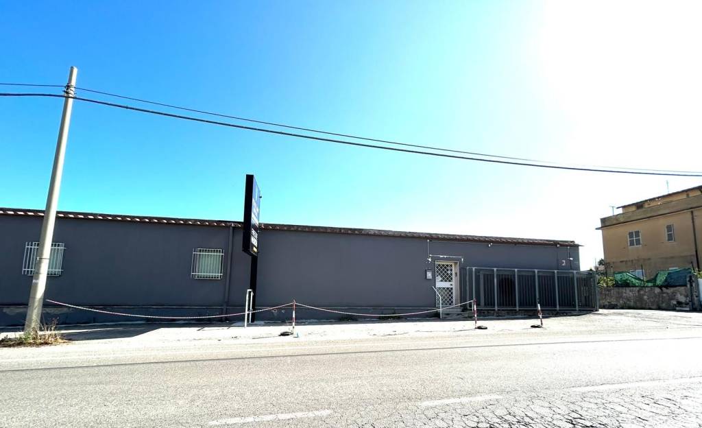 immagine annuncio 4 di 6