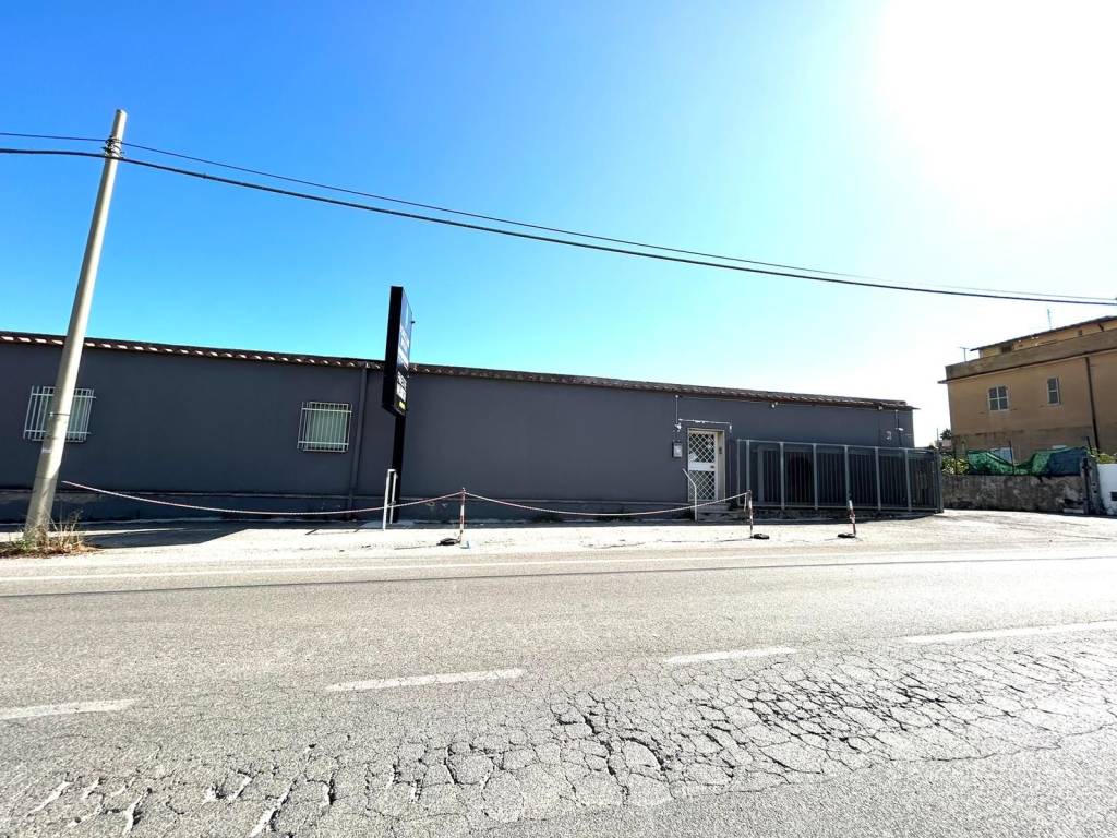 immagine annuncio 5 di 6