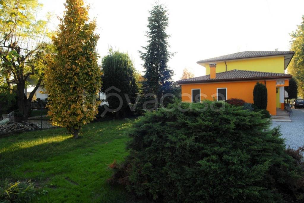 Villa Bifamiliare in vendita a Solesino via Carpanedo