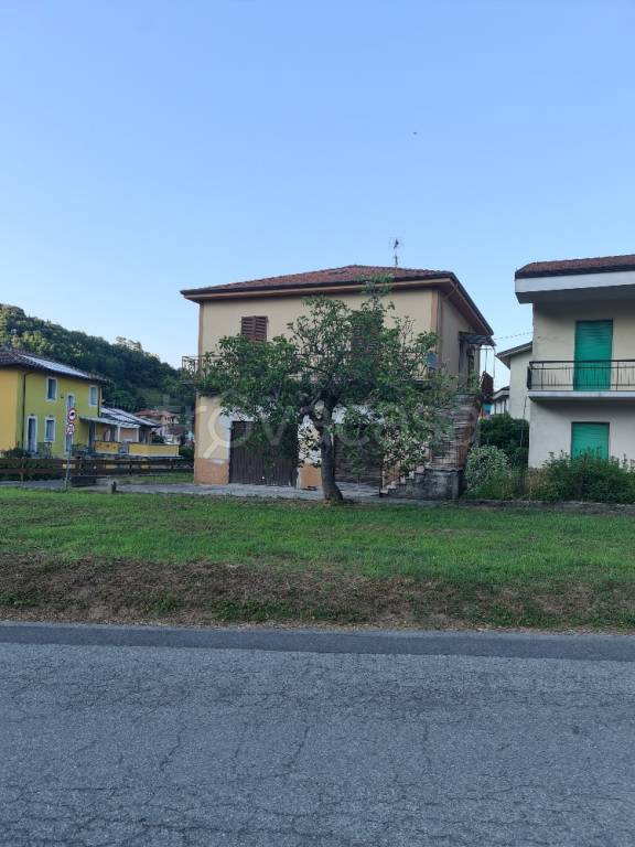immagine annuncio 3 di 11