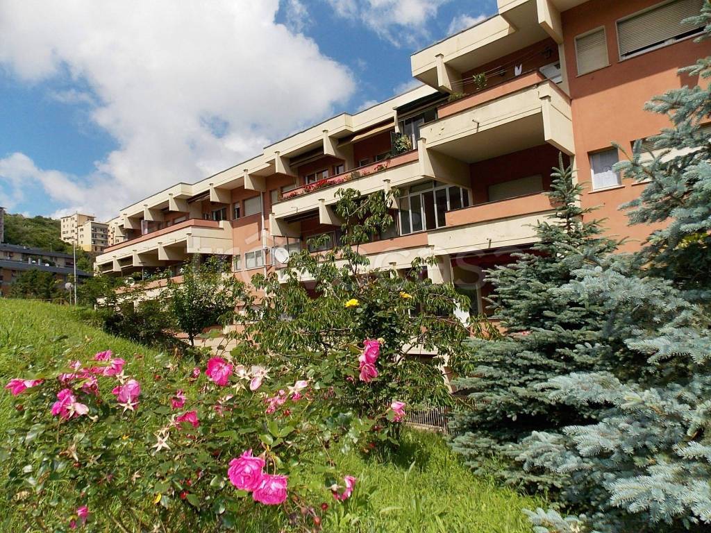 Appartamento in vendita a Genova via San Marino