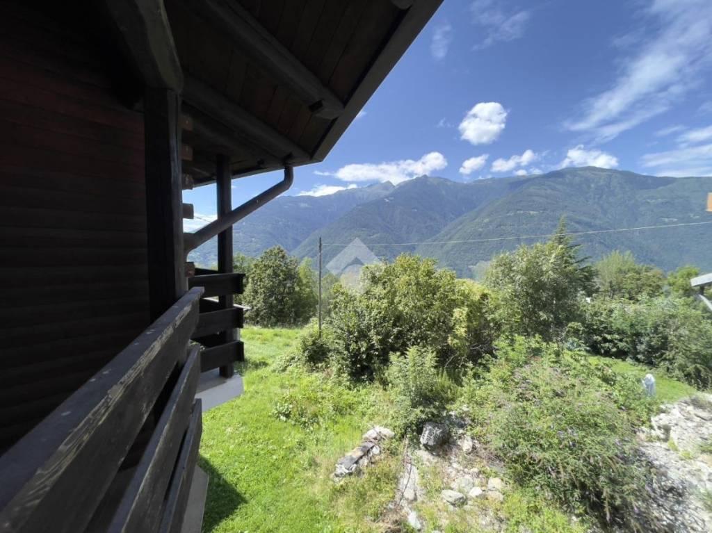 immagine annuncio 10 di 14