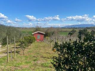 Terreno agricolo in vendita a lanuvio via delle querce