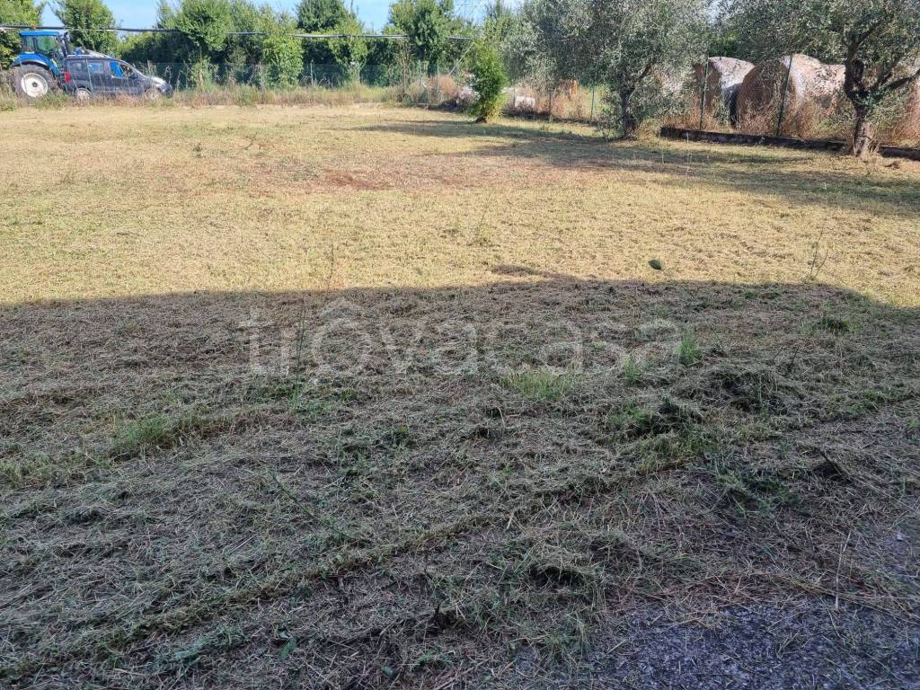 immagine annuncio 7 di 11