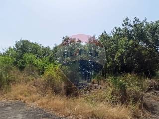 Terreno agricolo in vendita a zafferana etnea contrada ardichetto