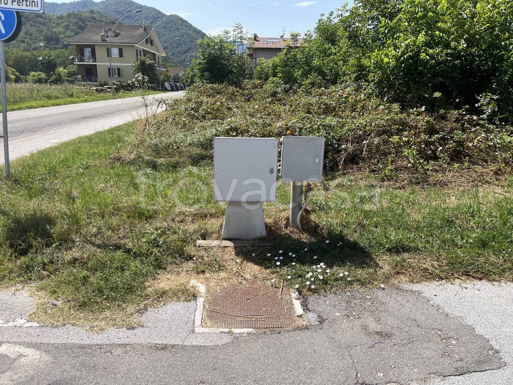 immagine annuncio 3 di 12