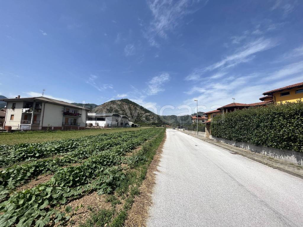 immagine annuncio 7 di 12