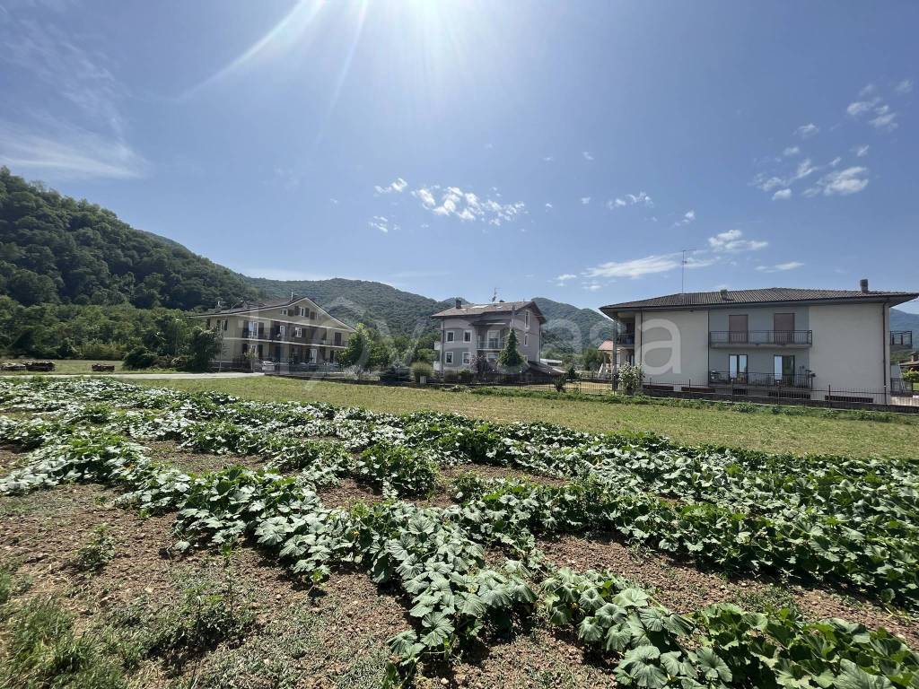 immagine annuncio 8 di 12