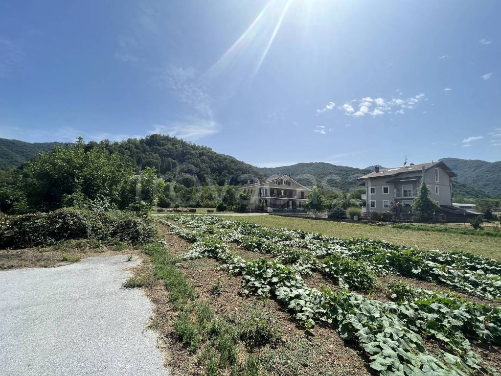 immagine annuncio 9 di 12