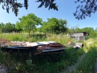 Terreno agricolo in vendita a moliterno contrada madonna del carmine