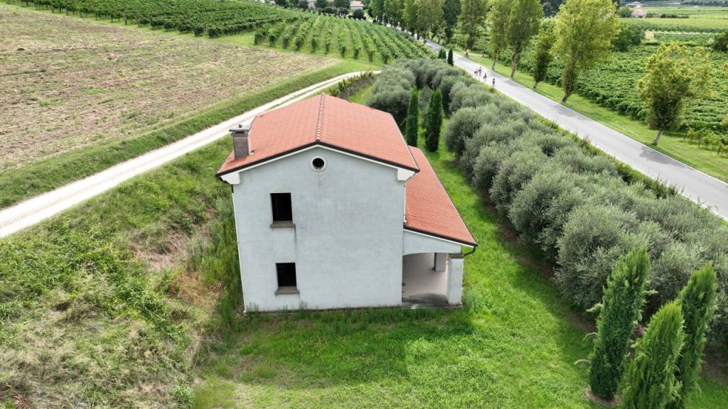 immagine annuncio 6 di 12