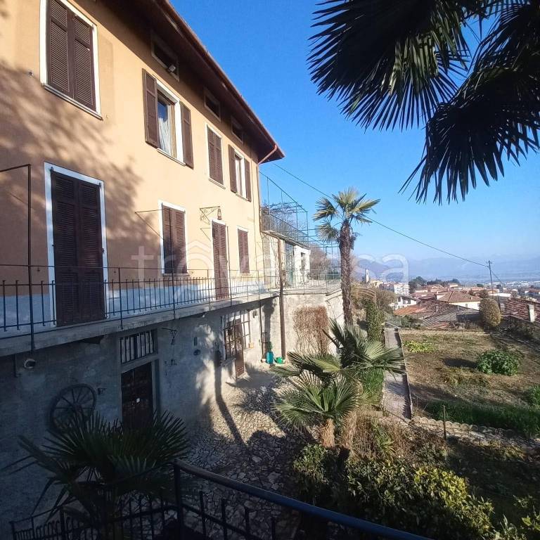 immagine annuncio 11 di 15