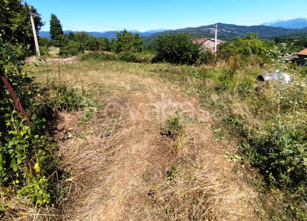 immagine annuncio 7 di 14