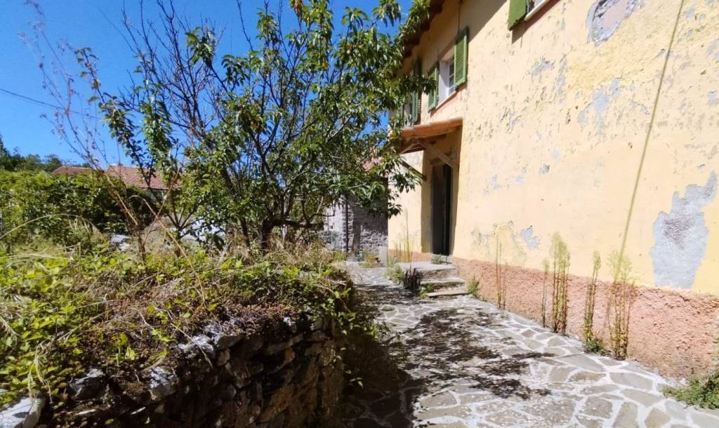 immagine annuncio 5 di 14