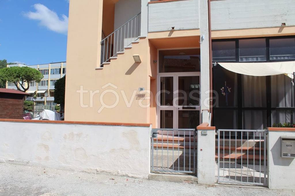 immagine annuncio 8 di 12