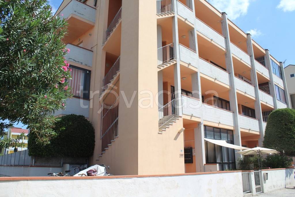 immagine annuncio 9 di 12