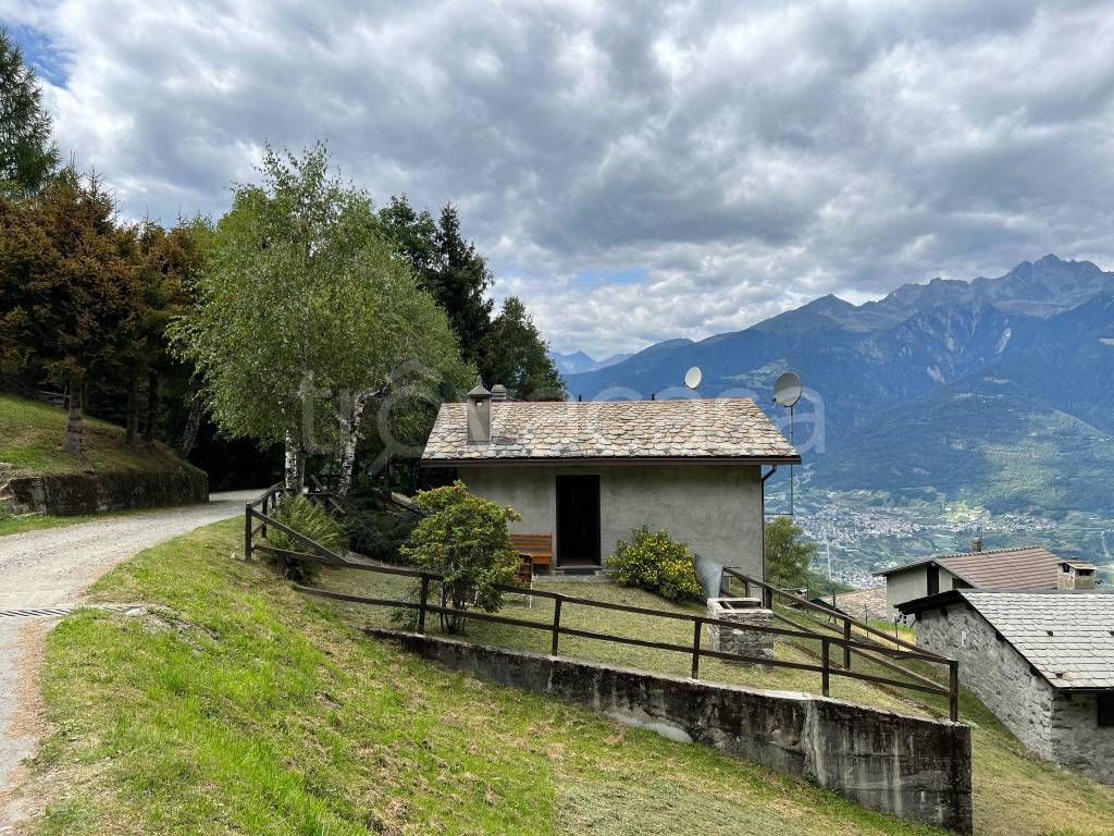 immagine annuncio 6 di 15