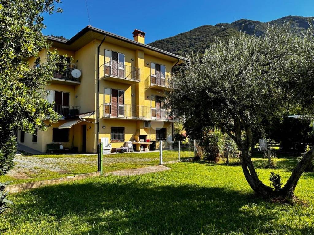 immagine annuncio 1 di 14