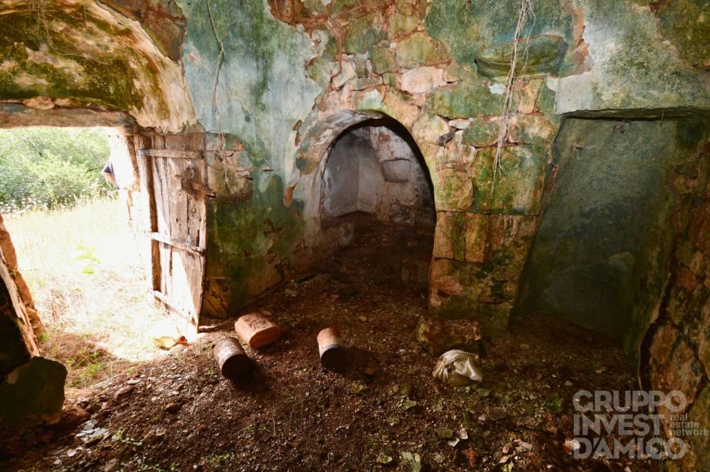 immagine annuncio 5 di 12