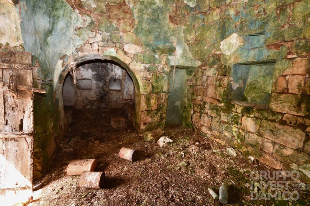 immagine annuncio 6 di 12