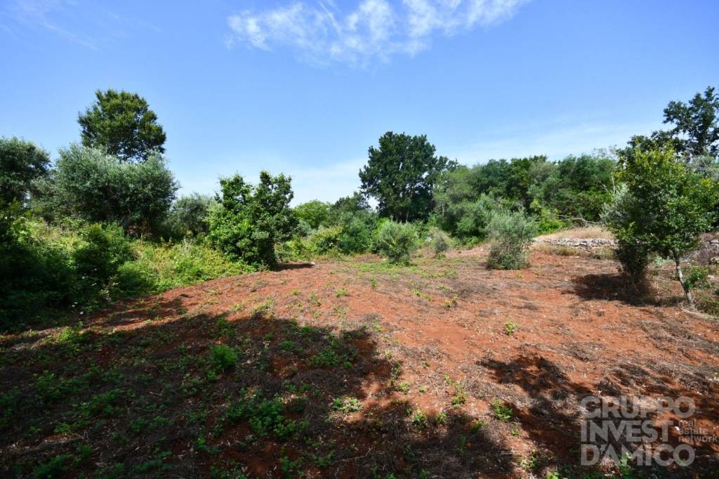 immagine annuncio 11 di 12