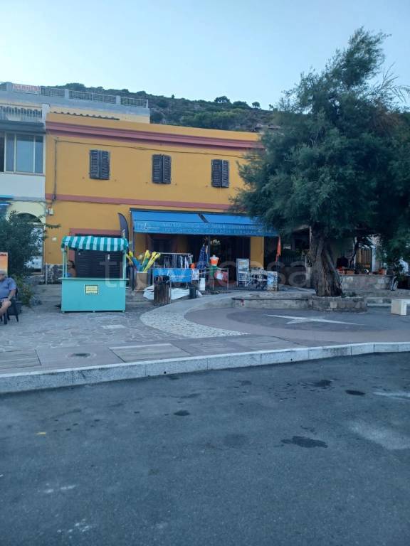 Articoli Caccia e Pesca in in vendita da privato a Capraia Isola via Assunzione, 64
