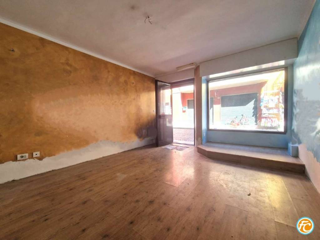 immagine annuncio 2 di 14