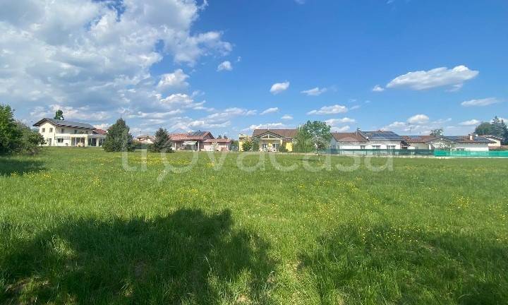 immagine annuncio 2 di 4