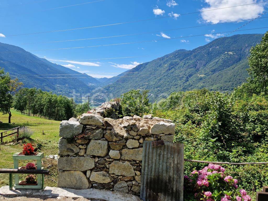 immagine annuncio 11 di 14