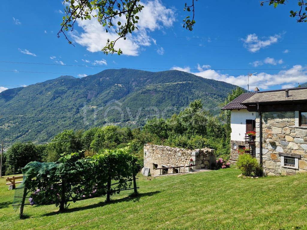 immagine annuncio 5 di 14