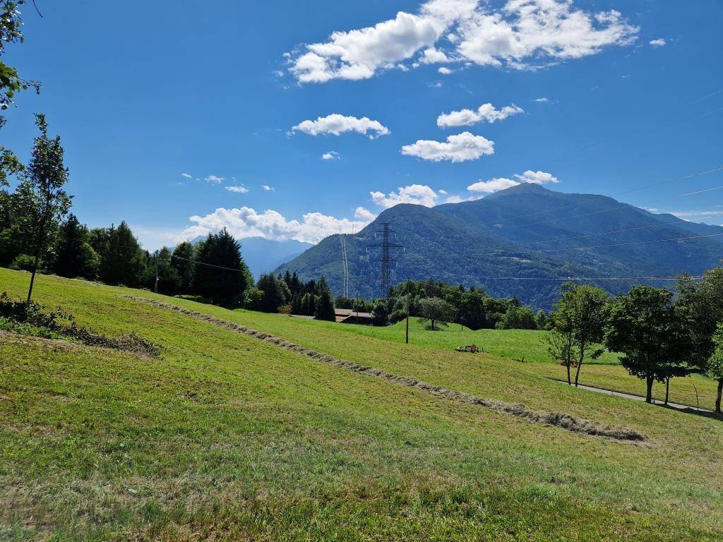 immagine annuncio 6 di 14