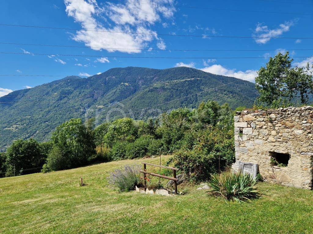 immagine annuncio 4 di 14