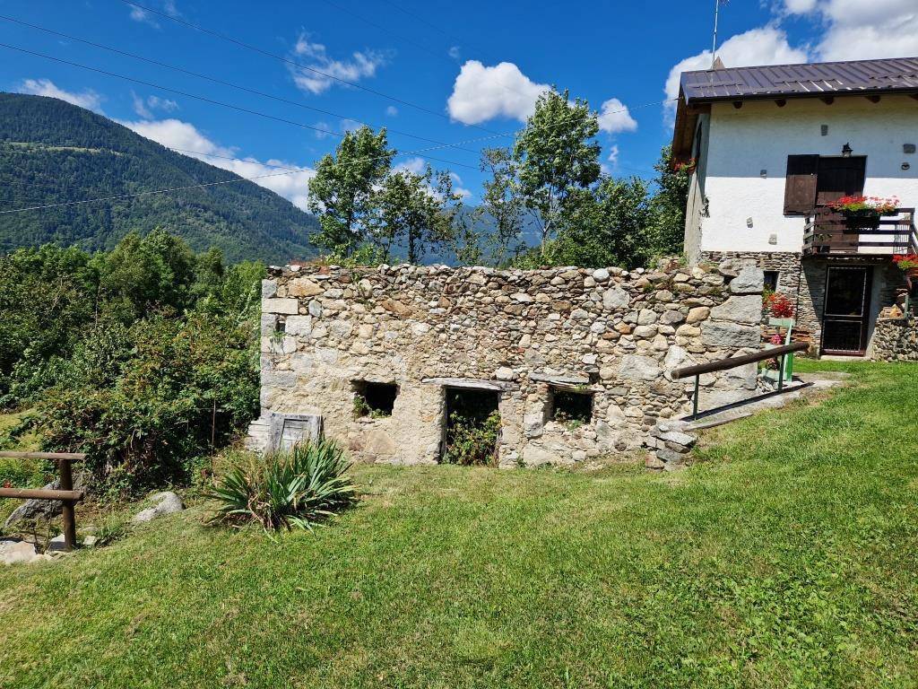 immagine annuncio 3 di 14