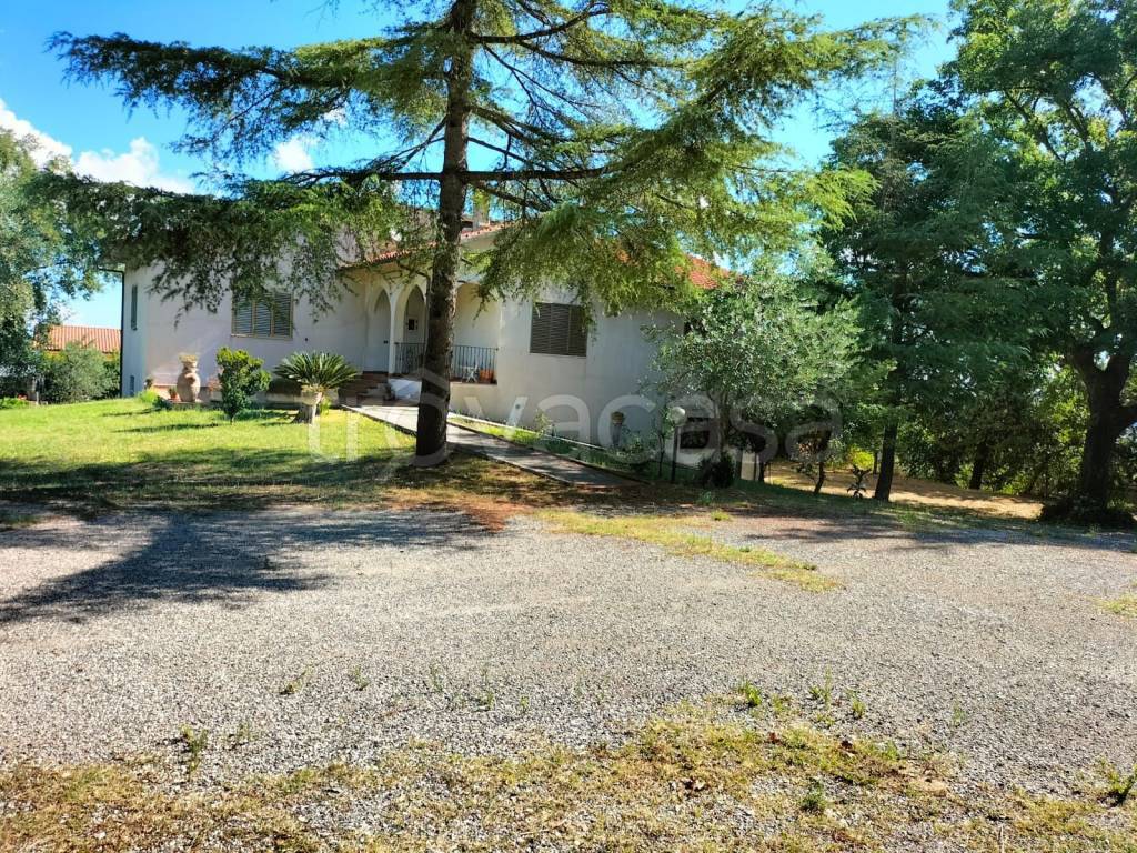 Villa in in vendita da privato a Larino strada Provinciale Larino Guglionesi, 29