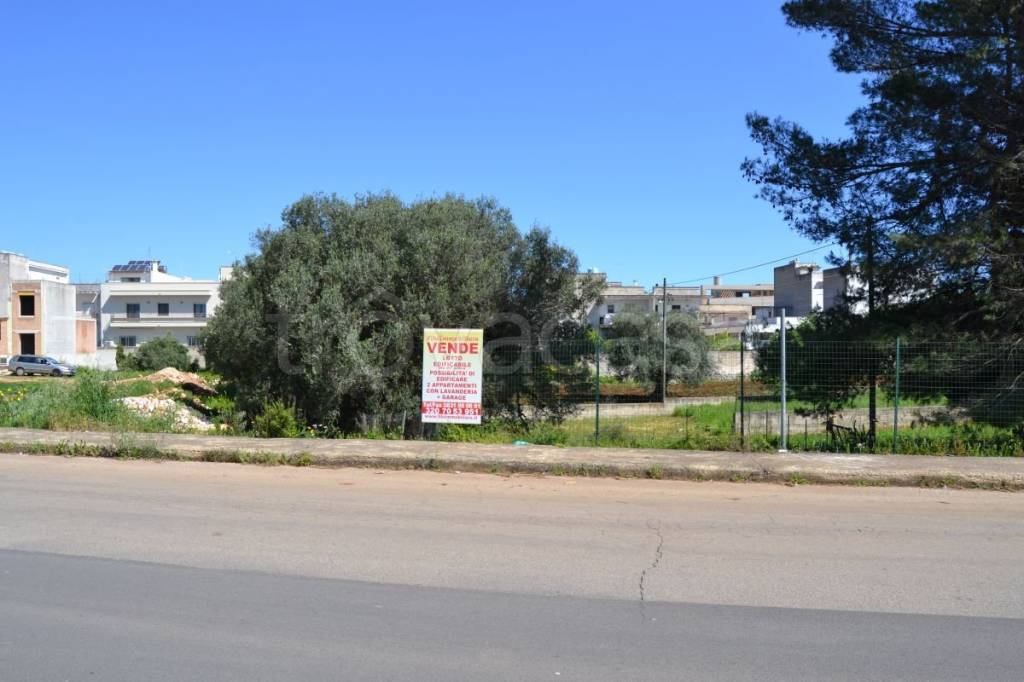 immagine annuncio 5 di 9