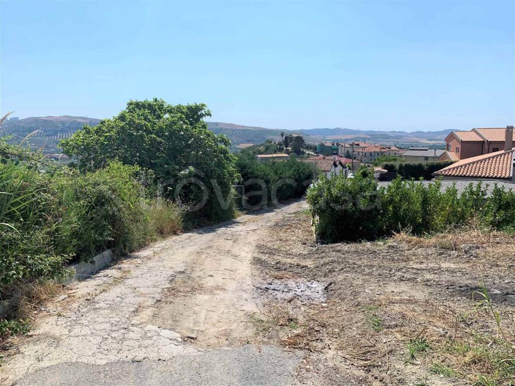 immagine annuncio 6 di 7