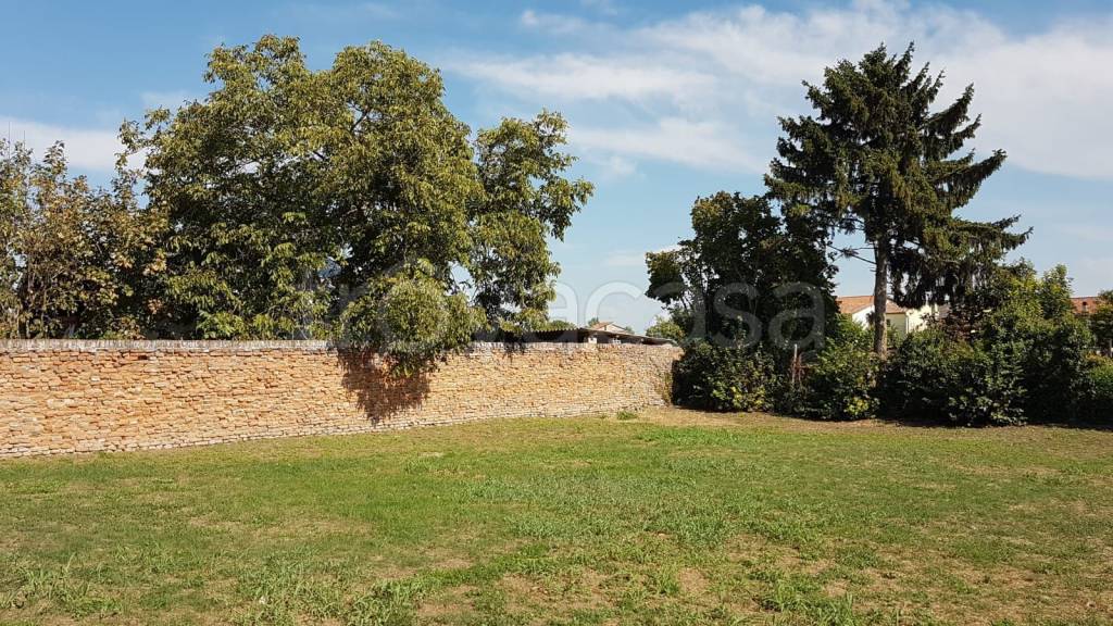 Villa a Schiera in in vendita da privato a Montagnana via Luppia Alberi, 181