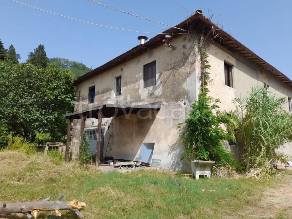 immagine annuncio 4 di 7