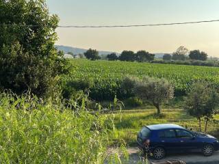 Terreno agricolo in affitto ad altavilla silentina via della pace, 10