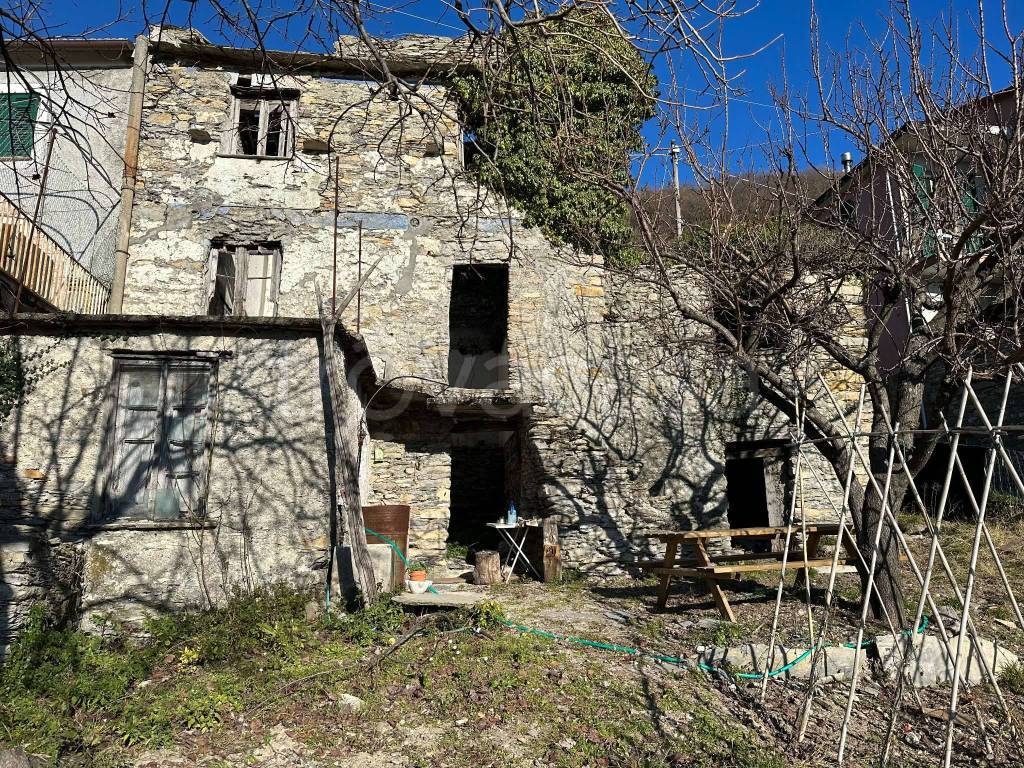 immagine annuncio 9 di 12