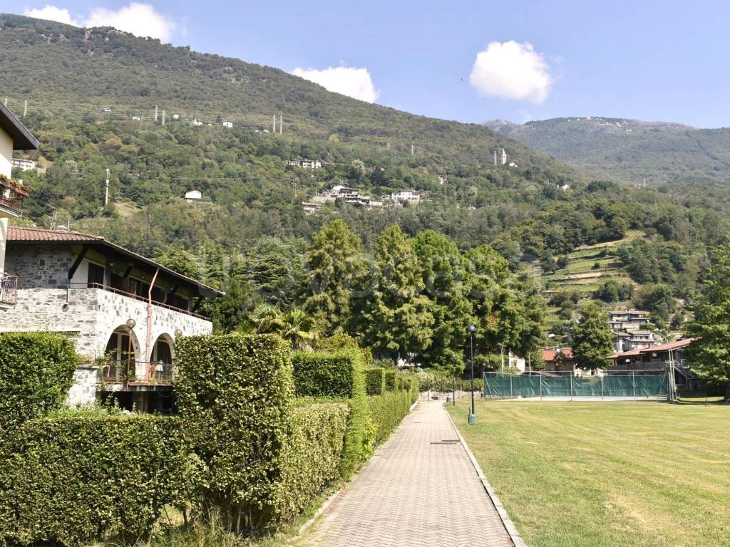 immagine annuncio 5 di 14