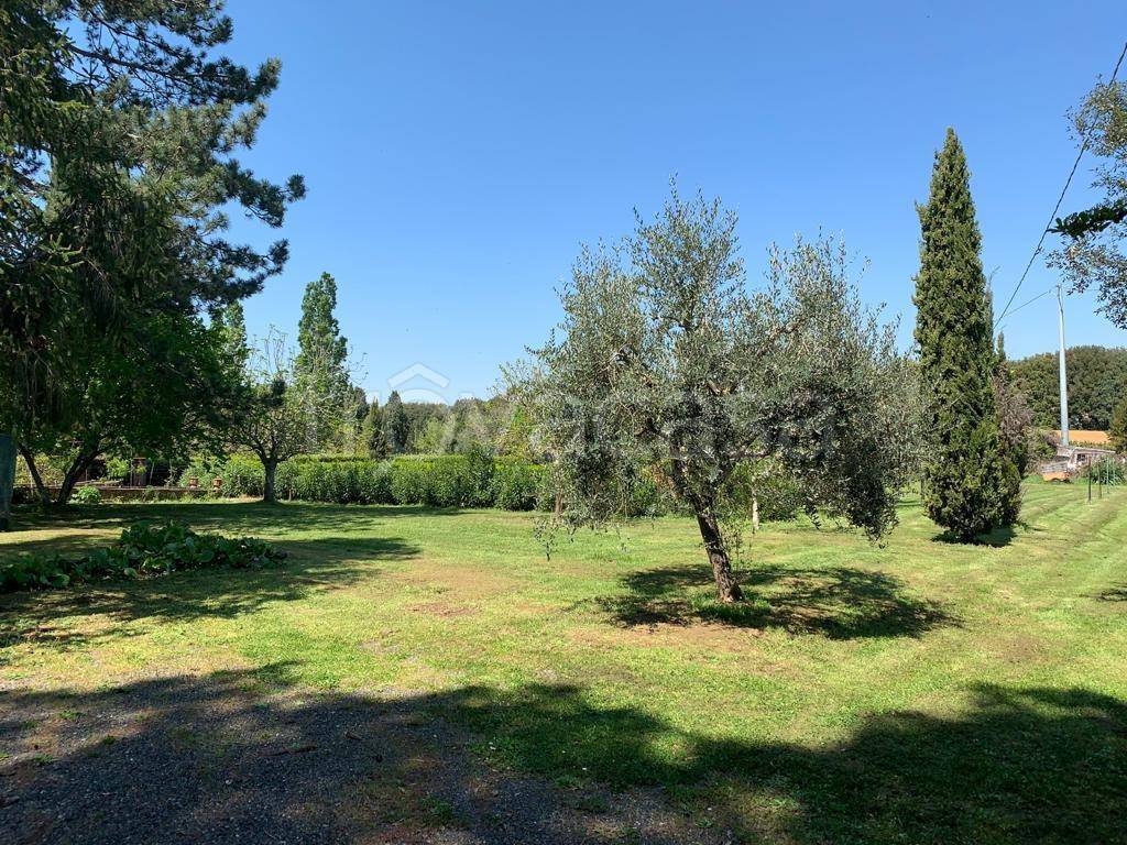 immagine annuncio 8 di 14