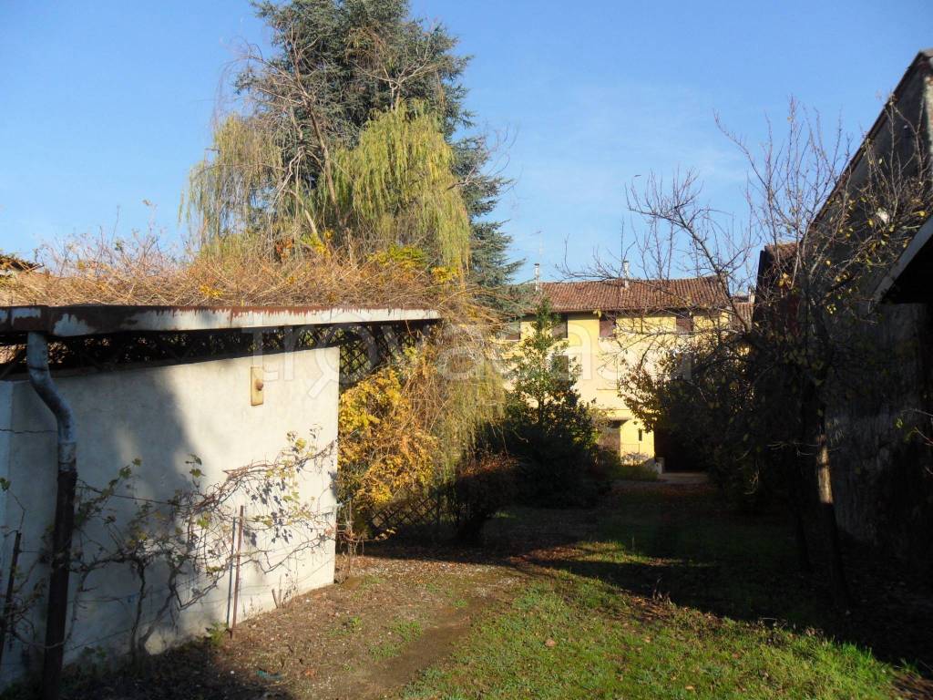immagine annuncio 5 di 15