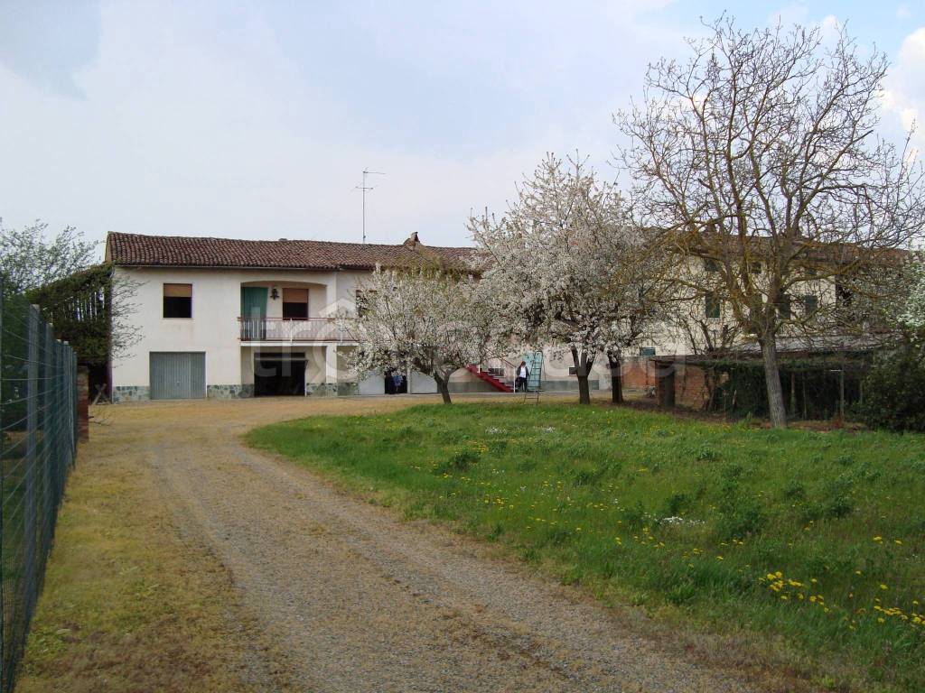 Villa Bifamiliare in vendita a Oviglio strada Provinciale per Alessandria