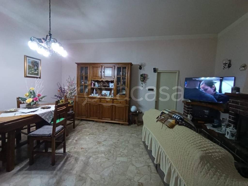 immagine annuncio 4 di 14