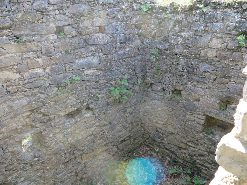 immagine annuncio 6 di 14