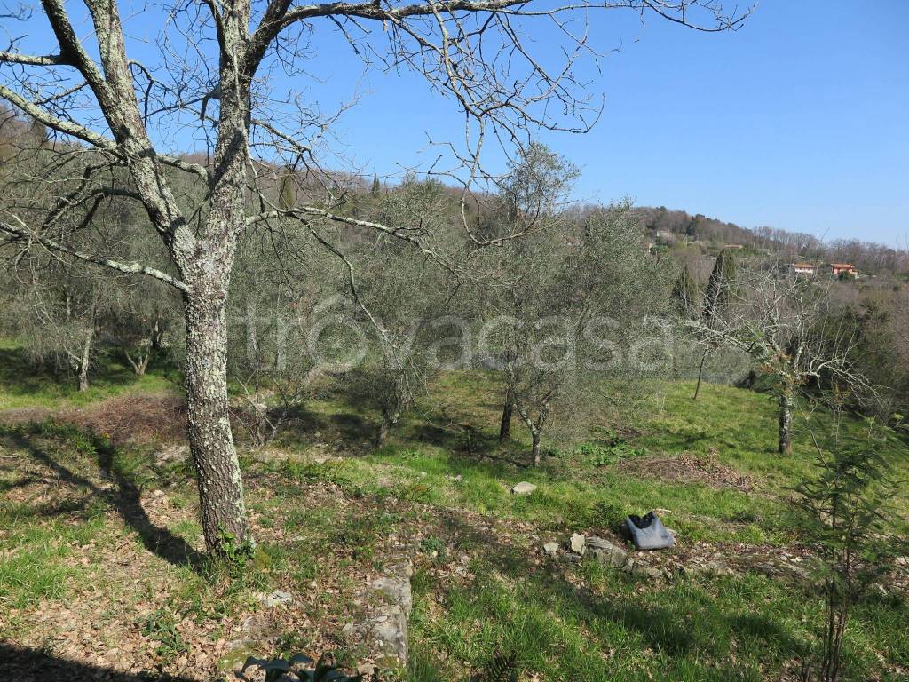 immagine annuncio 12 di 14