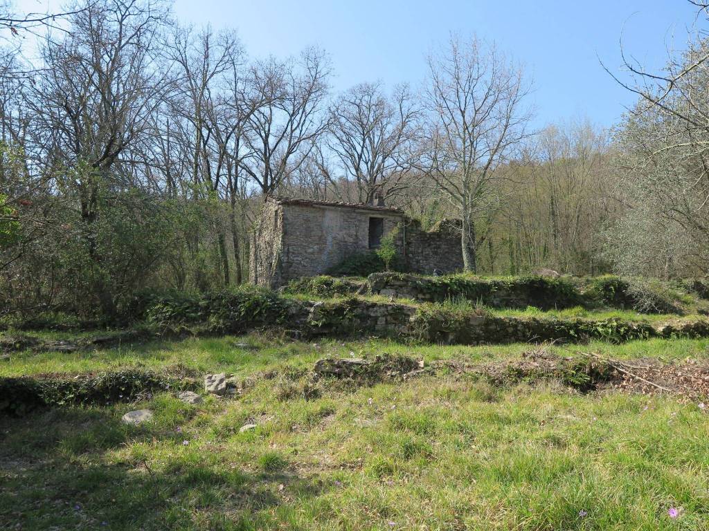 immagine annuncio 2 di 14